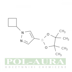 1h-pirazol, 1-cyklobutylo-4-(4,4,5,5-tetrametylo-1,3,2-dioksaborolan-2-ylo)-/ 97% [1002309-48-9]