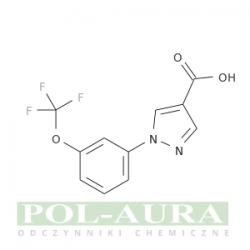 Kwas 1h-pirazolo-4-karboksylowy, 1-[3-(trifluorometoksy)fenylo]-/ 95% [1260773-08-7]