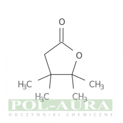 2(3H)-Furanone, dihydro-4,4,5,5-tetramethyl-/ min. 95% [16466-24-3]