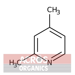 2,4-Lutydyna, 98 +% [108-47-4]
