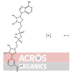 Dinukleotyd beta-nikotynamidoadeninowy, sól disodowa, hydrat, 95 +%, forma zredukowana [1949720-50-6]