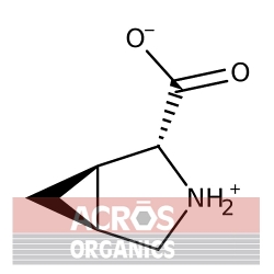 Kwas cis-3-azabicyklo [3.1.0] heksano-2-karboksylowy, 95% [22255-16-9]