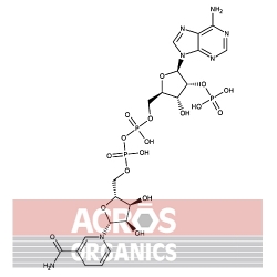 Wodzian soli tetrasodowej NADPH, 96%, wyjątkowo czysty [2646-71-1]