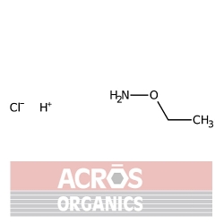 Chlorowodorek etoksyaminy, 99 +% [3332-29-4]