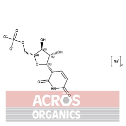 5'-Monofosforan urydyny, sól disodowa, hydrat, 98% [3387-36-8]