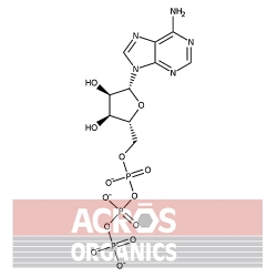 5'-Trifosforan adenozyny, wodzian soli disodowej, 98% [34369-07-8]