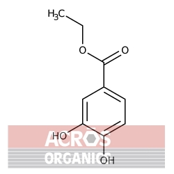 3,4-Dihydroksybenzoesan etylu, 97% [3943-89-3]