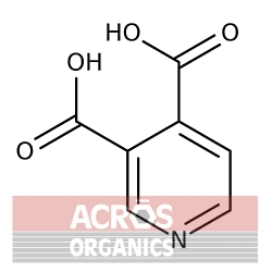 Kwas 3,4-pirydynodikarboksylowy, 97% [490-11-9]