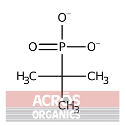 Kwas tert-butylofosfonowy, 98% [4923-84-6]