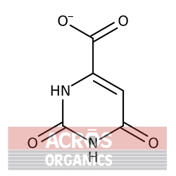 Kwas orotyczny monohydrat, 98% [50887-69-9]