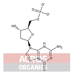 5'-Monofosforan 2'-deoksyguanozyny, hydrat soli sodowej, 99% [52558-16-4]