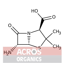 Kwas 6-aminopenicylanowy, 96% [551-16-6]