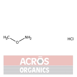 Chlorowodorek metoksyloaminy, 98 +% [593-56-6]
