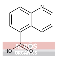 Kwas chinolino-5-karboksylowy, 97% [7250-53-5]