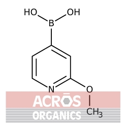Kwas 2-metoksypirydyno-4-boronowy, 95% [762262-09-9]