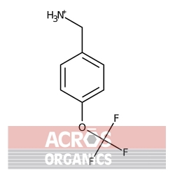 4- (Trifluorometoksy) benzyloamina, 97% [93919-56-3]