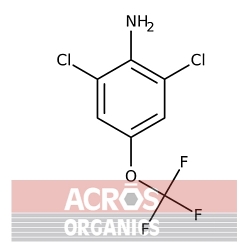 2,6-Dichloro-4- (trifluorometoksy) anilina, 96% [99479-66-0]