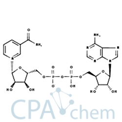 Hydrat dinukleotydu beta-nikotynoamidoadeninowego CAS:53-84-9 EC:200-184-4