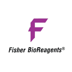 Control Primer no. 2, do użytku z zestawem Fisher BioReagents exACTGene PCR