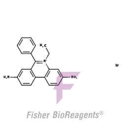 Bromek etydyny, 1% roztwór / biologia molekularna [1239-45-8]