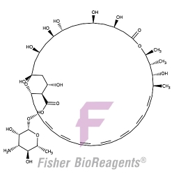 Amfoterycyna B, roztwór, (250 µg / ml) [1397-89-3]