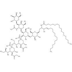 GD1b-Gangliozyd [19553-76-5]