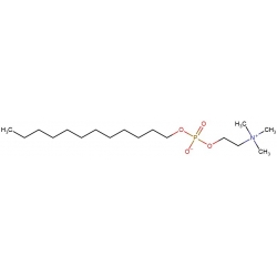 n-Dodecylofosfocholina [29557-51-5]