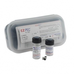 Staphylococcus aureus WDCM 00034 ATCC® 25923
