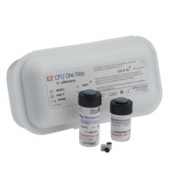 Clostridium sporogenes ATCC® 11437