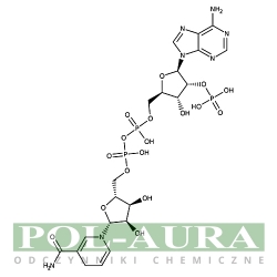b-Nikotynamido adeniny dinukleotyd fosforan tetrasodu, zredukowana [2646-71-1]