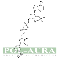 Wodzian fosforanu dinukleotydu b-nikotynamidoadeninowego [53-59-8]