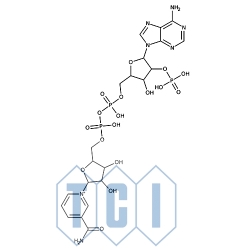 Fosforan dinukleotydu ß-nikotynoamidoadeninowego wodzian soli sodowej, postać utleniona [do badań biochemicznych] 90.0% [1184-16-3]