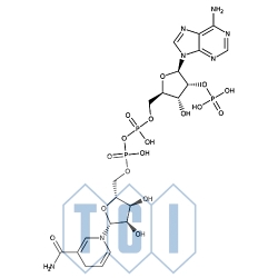 beta-nikotynamid dinukleotydu adeniny, fosforan tetrasodowy, forma zredukowana [do badań biochemicznych] 90.0% [2646-71-1]
