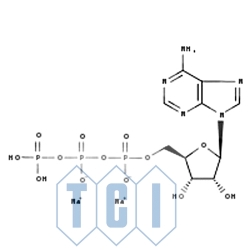 Wodzian soli disodowej 5'-trifosforanu adenozyny 98.0% [34369-07-8]