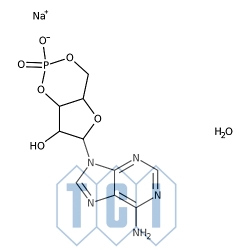 Sól sodowa 3',5'-cyklicznego monofosforanu adenozyny 98.0% [37839-81-9]
