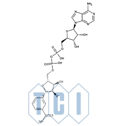 Postać utleniona dinukleotydu tionikotynamidoadeninowego [do badań biochemicznych] 90.0% [4090-29-3]