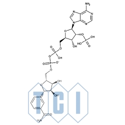 Fosforan dinukleotydu ß-nikotynoamidoadeninowego [do badań biochemicznych] 83.0% [53-59-8]