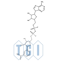 Utleniona postać dinukleotydu ß-nikotynamidoadeninowego [do badań biochemicznych] 95.0% [53-84-9]