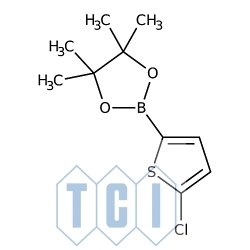 5-chloro-2-(4,4,5,5-tetrametylo-1,3,2-dioksaborolan-2-ylo)tiofen 97.0% [635305-24-7]